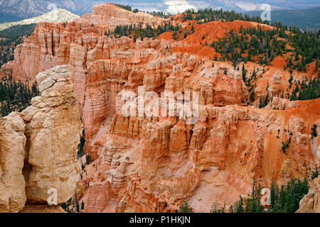 Große Türme geschnitzten entfernt, die durch Erosion im Bryce Canyon National Park, Utah, USA. Stockfoto