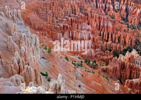 Große Türme geschnitzten entfernt, die durch Erosion im Bryce Canyon National Park, Utah, USA. Stockfoto