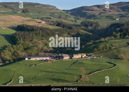 Niedrige Oxnop Farm, eine traditionelle Hill Farm, in Swaledale, Yorkshire Dales National Park. Stockfoto