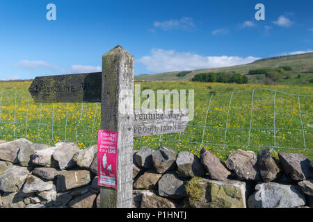 Fußweg Zeichen entlang der Pennine Way in der Nähe von Hawes, North Yorkshire, mit einem Warnzeichen für Hundebesitzer Hunde an der Leine zu halten. Stockfoto