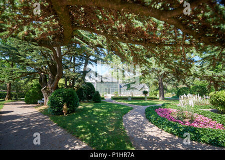 Botanischer Garten von Sežana, Slowenien aus dem 19. Jahrhundert, einem 150 Jahre alten Zeder, Blumenbeete, blühende Laubengänge und die palmarium - Garten der Freude Stockfoto