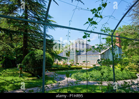 Botanischer Garten von Sežana, Slowenien aus dem 19. Jahrhundert, einem 150 Jahre alten Zeder, Blumenbeete, blühende Laubengänge und die palmarium - Garten der Freude Stockfoto