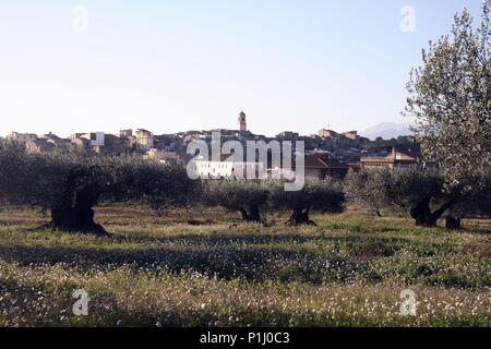 Spanien - Katalonien - Terra Alta (Bezirk) - TARRAGONA. Pinell de Brai; Vista de Pueblo y Olivares. Stockfoto