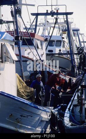 Spanien - Valencia autonome Region - Baix Maestrat (Kreis) - Castellón. Peñíscola, Puerto pesquero, embarcaciones. Stockfoto