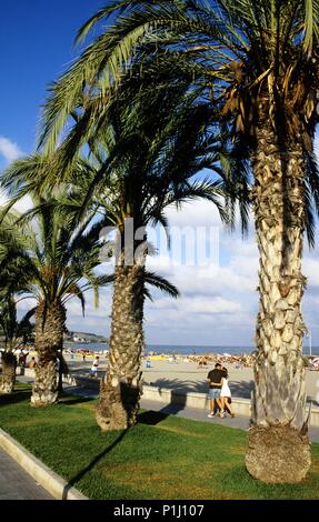 Spanien - Valencia autonome Region - La Plana Alta (Bezirk) - Castellón. Benicasim, Paseo Marítimo. Stockfoto