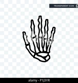 Hand Knochen vektor Icon auf transparentem Hintergrund isoliert, Hand Knochen logo Konzept Stock Vektor