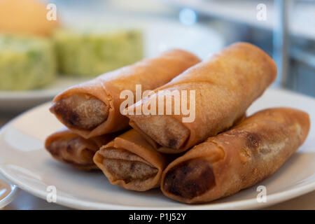 Hausgemachte frittierte Frühlingsrollen chinesische Servierteller, selektive konzentrieren. Stockfoto