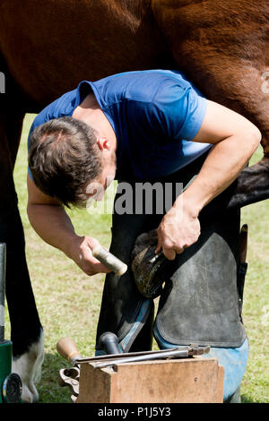 Ein hufschmied arbeitet an einem Polo pony Schuh Stockfoto