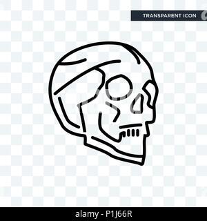 Menschlicher Schädel vektor Icon auf transparentem Hintergrund isoliert, Human Skull Logo Konzept Stock Vektor