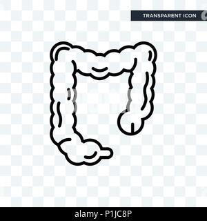 Dickdarm vektor Icon auf transparentem Hintergrund isoliert, großer Darm logo Konzept Stock Vektor