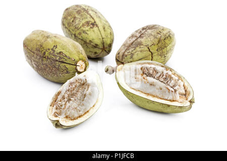 Hülsen der Bombax ceiba L, borstige Baum und essbaren Blume Stockfoto