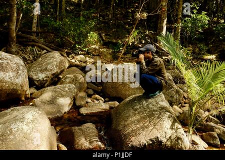 Junger Mann Sonnenbrille tragen nimmt Foto eines natürlichen Szene mit Stativ und DSLR-Kamera, Paluma Range National Park, Rollingstone QLD, Australia Stockfoto