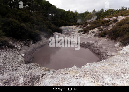 Nahaufnahme einer der 'Teufel Tinte Töpfe, in der Wai-O-Tapu Thermal Wonderland, North Island, Neuseeland Stockfoto