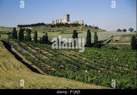 Spanien - Kastilien und Leon - Ribera del Duero (Kreis)-BURGOS. Penarenda de Duero; Vista con Viñedos y Castillo. Stockfoto