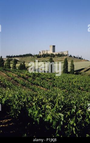 Spanien - Kastilien und Leon - Ribera del Duero (Kreis)-BURGOS. Penarenda de Duero; Vista con Viñedos y Castillo. Stockfoto