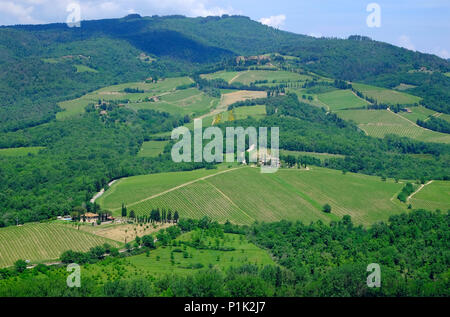 Chianti, Toskana, Italien Stockfoto