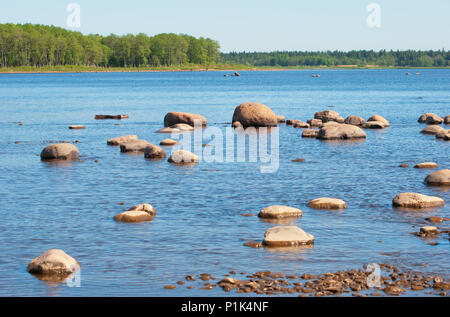 Steinen an der Küste des Golfs von Finnland Stockfoto