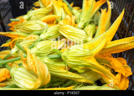 Stapel frisch gepflückte Genießbare golden Zucchini und Zucchiniblüten in einem Weidenkorb bei Farmers Market in der Nähe zu sehen. Stockfoto