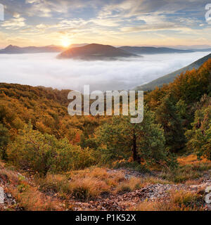 Landscape Beautiful autumn morning above deep forest valley. Stockfoto