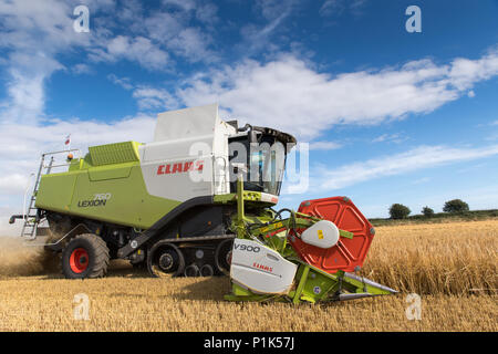 Die Kombination von Gerste mit einem Claas Lexikon 760 kombinieren und einen 35-Fuß-Schneidwerk, mit montierten Kameras für bessere Sicht für den Fahrer. North Yorkshire, UK. Stockfoto