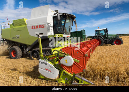 Claas Lexikon 760 Mähdrescher Füllung Trailer mit Getreide, bei der Ernte von einem Fendt Vario 820 gezogen, North Yorkshire, UK. Stockfoto