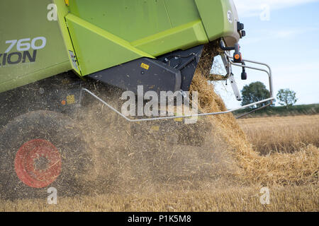 Claas Lexikon 760 die Kombination von Gerste, mit Stroh aus Heckauswurf. Yorkshire, UK. Stockfoto