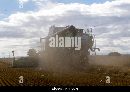 Claas Lexikon 760 die Kombination von Gerste, mit Stroh aus Heckauswurf. Yorkshire, UK. Stockfoto