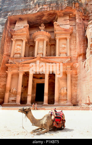 Kamel vor dem Finanzministerium in Petra, Jordanien Stockfoto