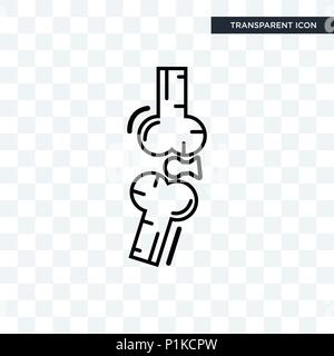 Knochen gemeinsamen Vektor Icon auf transparentem Hintergrund isoliert, Knochen gemeinsame Logo Konzept Stock Vektor