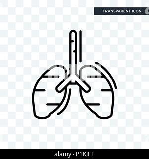 Menschliche Lungen vektor Icon auf transparentem Hintergrund isoliert, menschliche Lungen logo Konzept Stock Vektor