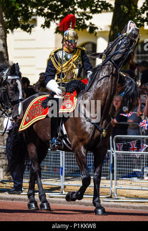 Die Farbe 2018. Verspieltes Pferd des Blues und Royals Officer. Stockfoto