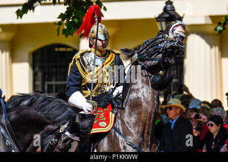 Die Farbe 2018. Verspieltes Pferd des Blues und Royals Officer. Stockfoto