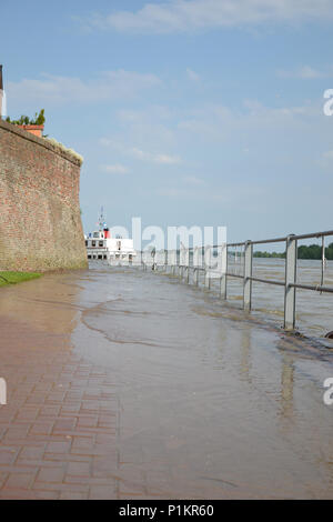 Kalkar am Niederrhein bei leichtem Hochwasser, 2013 Stockfoto