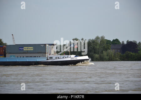 Kalkar am Niederrhein bei leichtem Hochwasser, 2013 Stockfoto