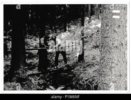 Die tschechoslowakische SOZIALISTISCHE REPUBLIK - 30. MAI 1981: Retro Foto zeigt Freiwillige bauen Fußgängerbrücke in den Wald. Schwarz & Weiß vintage Fotografie Stockfoto