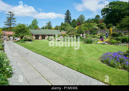 Holehird Gardens ist eine umfangreiche, 10 Hektar großen Gelände in der Nähe von Windermere, Cumbria, England. Es ist die Heimat der Lakeland Gartenbaugesellschaft Stockfoto