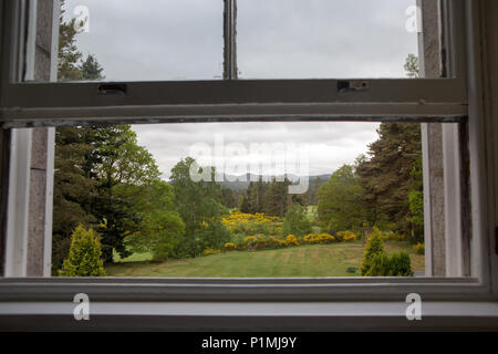 Blick von einer hölzernen Fenster in Richtung einer schottischen Garten. Stockfoto