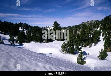 Valle de Belagua/Roncal; paisaje Nevado de Estación de ski de Fondo de Larra - belagua. Stockfoto