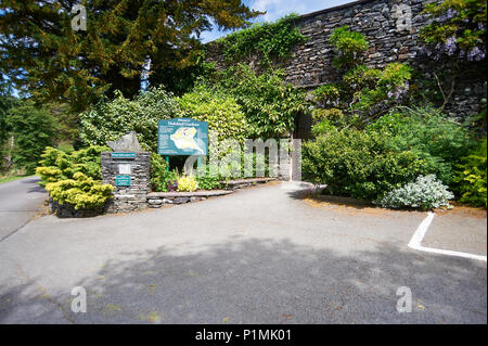 Holehird Gardens ist eine umfangreiche, 10 Hektar großen Gelände in der Nähe von Windermere, Cumbria, England. Es ist die Heimat der Lakeland Gartenbaugesellschaft Stockfoto