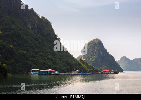 Schwimmende Dorf im Kanal gegenüber Hòn Vẻn, Ha Long Bay, Quang Ninh, Vietnam Stockfoto