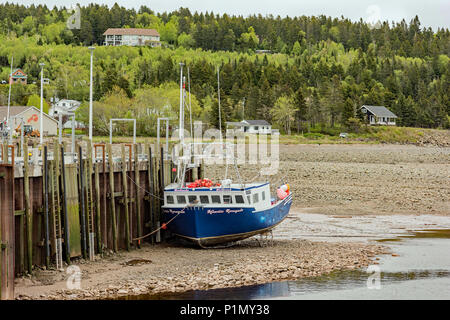 Alma, New Brunswick Hummer Fischerboote im Hafen bei Ebbe in der Bucht von Fundy. Stockfoto