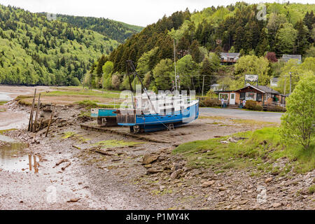 Alma, New Brunswick Hummer Fischerboote im Hafen bei Ebbe in der Bucht von Fundy. Stockfoto