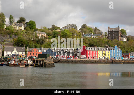 Die berühmten hell bemalten Häuser mit Blick auf den Hafen in Tobermory, Isle of Mull, an der Westküste Schottlands Stockfoto