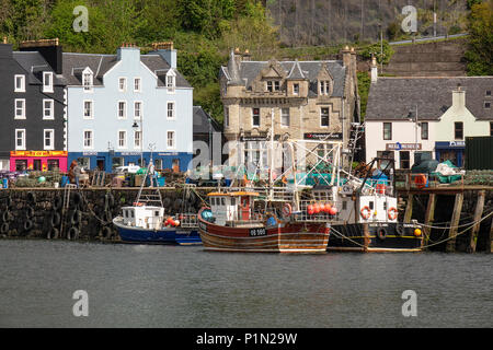 Tobermory Harbour, Isle of Mull, an der Westküste Schottlands Stockfoto