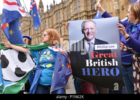 Westminster, London, Großbritannien. 12. Juni 2018. Die Anti Brexit Demonstranten vor, die das Parlament während der MP-Debatte und die Abstimmung über den EU-Austritt Rechnung stehen. Quelle: Matthew Chattle/Alamy leben Nachrichten Stockfoto