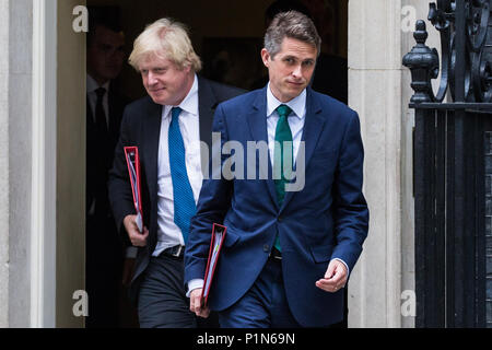 London, Großbritannien. 12 Juni, 2018. Gavin Williamson MP, Staatssekretär für Verteidigung, und Boris Johnson MP, Minister für auswärtige Angelegenheiten und Commonwealth-Fragen, lassen 10 Downing Street nach einer Kabinettssitzung vor dem Unterhaus Aussprache und Abstimmungen über Änderungsvorschläge des House of Lords zur EU Rückzug Rechnung vorgeschlagen. Credit: Mark Kerrison/Alamy leben Nachrichten Stockfoto