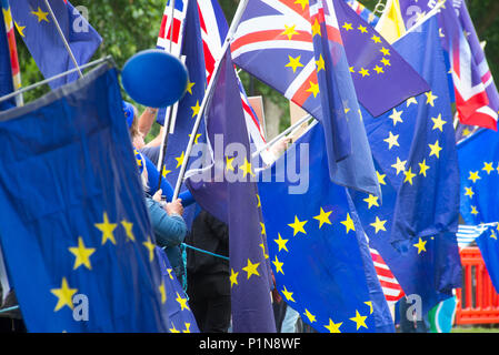 London, Großbritannien. 12. Juni 2018. 12. Juni 2018 - London: Flagge schwenkten Demonstranten von sodem (Stand von Trotz, Europäische Bewegung), Parlament und College Green. Quelle: Bruce Tanner/Alamy leben Nachrichten Stockfoto