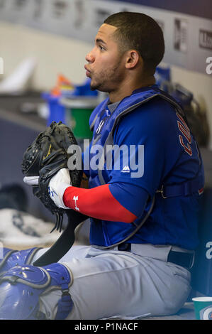 Milwaukee, WI, USA. 11 Juni, 2018. Chicago Cubs catcher Willson Contreras Nr. 40 im Dugout während der Major League Baseball Spiel zwischen den Milwaukee Brewers und die Chicago Cubs am Miller Park in Milwaukee, WI. John Fisher/CSM/Alamy leben Nachrichten Stockfoto