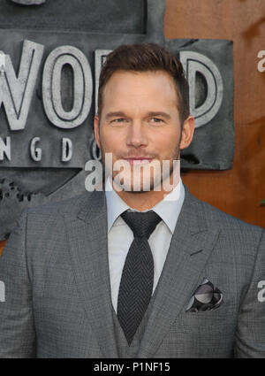 Los Angeles, CA, USA. 12 Juni, 2018. 12. Juni 2018 - Los Angeles, Kalifornien - Chris Pratt. Premiere von Universal Pictures und Amblin Entertainment's 'Jurassic Welt: Gefallene Königreich'' in der Walt Disney Concert Hall statt. Photo Credit: Faye Sadou/AdMedia Credit: Faye Sadou/AdMedia/ZUMA Draht/Alamy leben Nachrichten Stockfoto