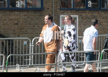 London, Großbritannien. 13. Juni 2018. Fans im Abendkleid kommen für den ersten Tag Länderspiel zwischen England und Australien im Surrey Oval in Kennington Credit: Amer ghazzal/Alamy leben Nachrichten Stockfoto